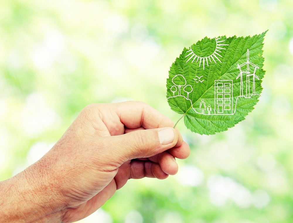 Best green energy options for your home