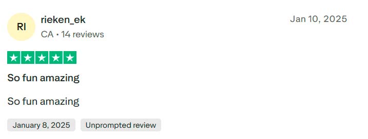 trustpilot review from user rieken_ek